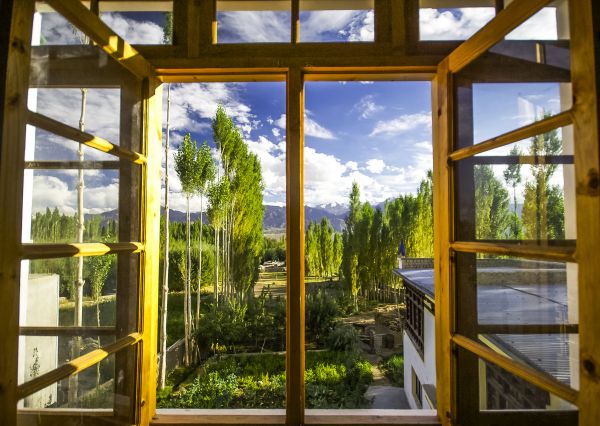 Cost of Wood Window Replacement in Novato