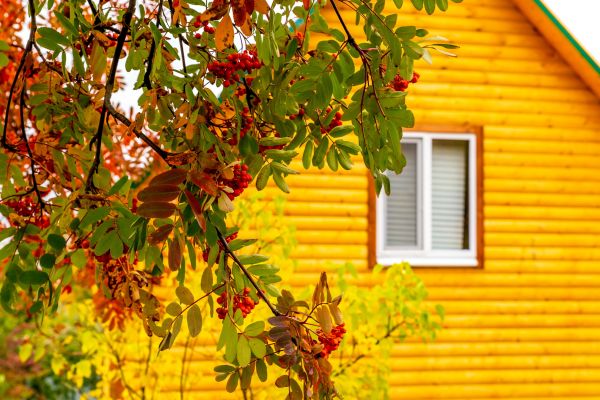 Cost of Garden Window Replacement in Novato